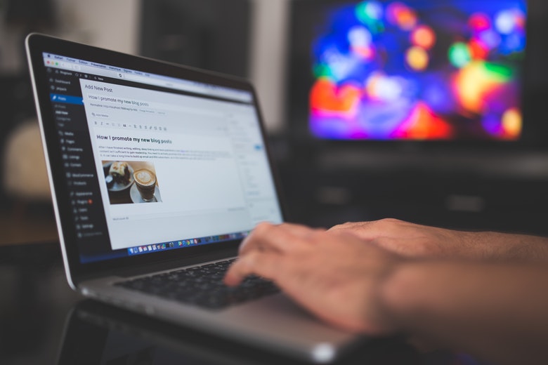 wordpress svetainės